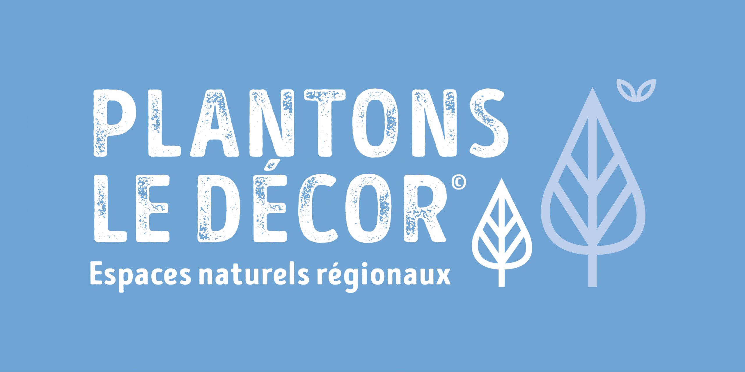 You are currently viewing PLANTONS LE DÉCOR 2025-2026